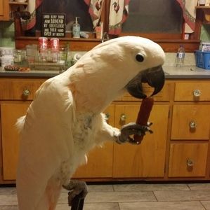 Meet your Posher, Cathy